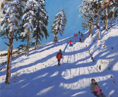 Sledging, Hillside, Glossop, 2015 by Andrew Macara